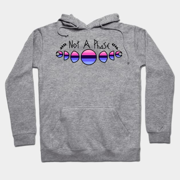 Not a Phase- Omnisexual Hoodie by Beelixir Illustration